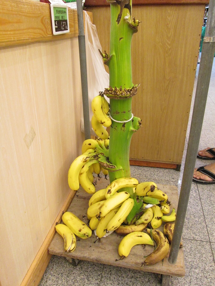 bananas